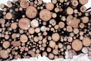 logging_in_finnish_lapland