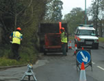 Tree surgeons in action in London.