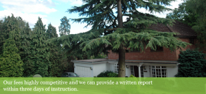 A tree at a residential property we have worked on.